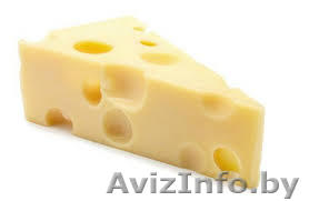 Продам сыры     - Изображение #1, Объявление #1309490