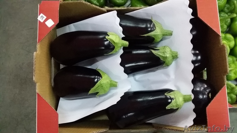 Баклажаны из Испании - Изображение #1, Объявление #1328869