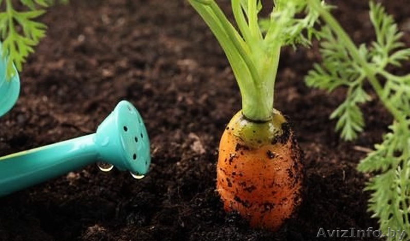 Грунт растительный в мешках  - Изображение #1, Объявление #1324587