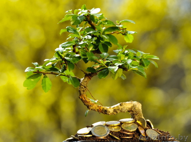 Бухгалтерские услуги "Мы сопровождаем Вас к успеху!"  - Изображение #1, Объявление #1336253