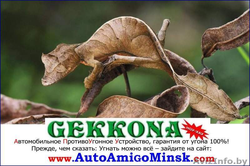 АПУУ «GEKKONA» (Геккона) ноу-хау от АвтоАмиго-Минск - Изображение #1, Объявление #1340845
