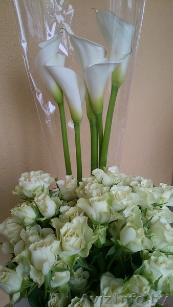 Цветочно-сувенирный магазин - Изображение #1, Объявление #1344469