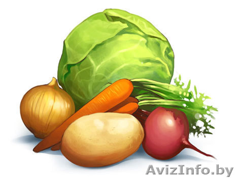 Продам овощи от белорусского производителя. Опт, розница. - Изображение #1, Объявление #1343949