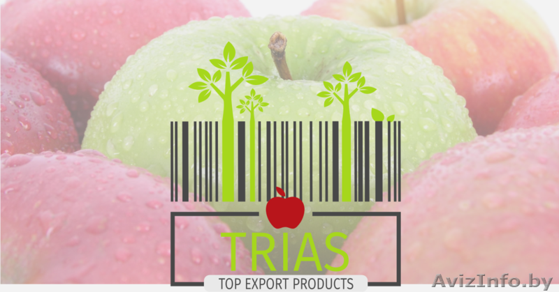 Фрукты, овощи ОПТом из Польши - Изображение #1, Объявление #1358305