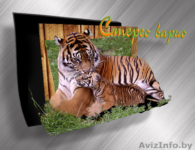 Стерео варио магниты - Изображение #1, Объявление #1376725