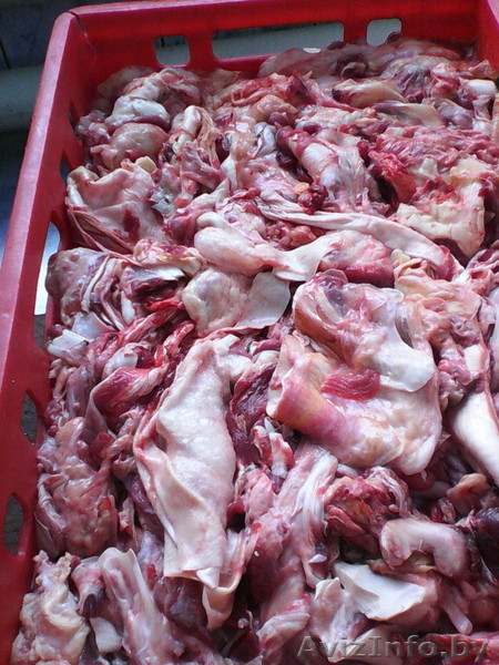 Купим жилку говяжью замороженную оптом. - Изображение #1, Объявление #1375169