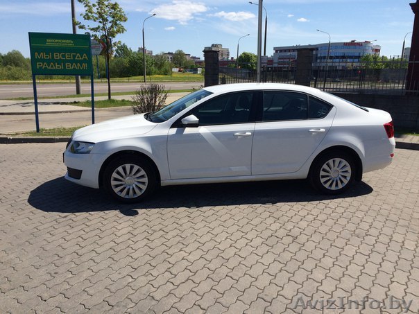 Прокат авто Шкода Октавия - Изображение #1, Объявление #1386661