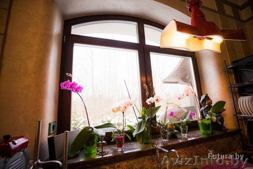 Окна пвх (ARtec, KBE) и деревянные окна - Изображение #1, Объявление #1392289