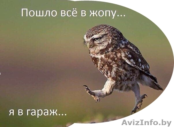 Куплю приватизированный гараж в Минске кирпичный/железобетонный до 3000 Звоните  - Изображение #1, Объявление #1409696