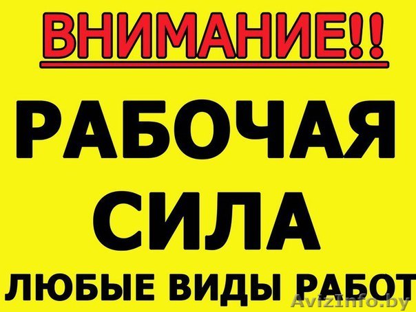 Рабочая сила МИНСК - Изображение #1, Объявление #1445027
