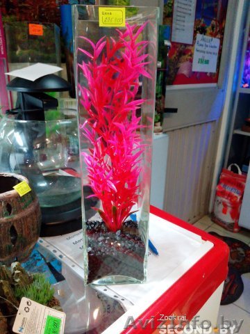 Аквариум-ваза с грунтом и растением - Изображение #1, Объявление #1449326