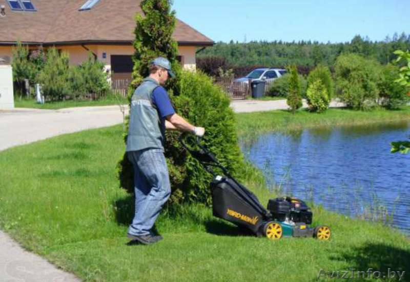 Покос травы и бурьяна - Изображение #1, Объявление #1447463