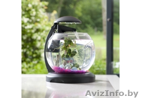 Аквариум-шар 6,8 л. с водопадом,фильтром,подсветкой - Изображение #1, Объявление #1449124