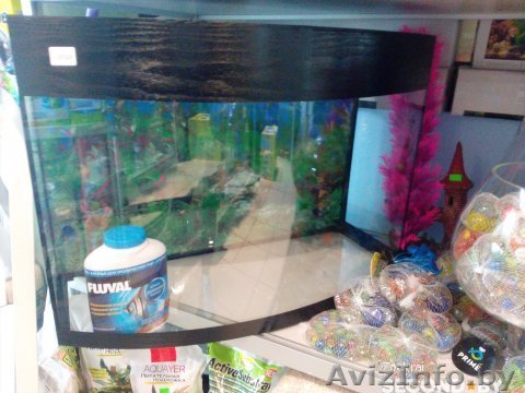 Аквариум 60 литров - Изображение #1, Объявление #1449340