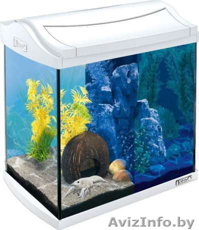 Аквариум Tetra 30л с полным оборудованием  - Изображение #1, Объявление #1449289