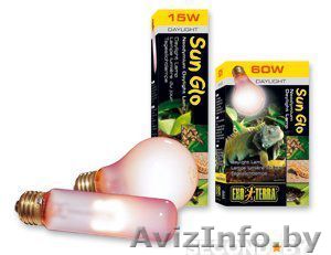 Неодимовая лампа дневного света для рептилий Sun Glo (15вт,25вт,40вт)  - Изображение #1, Объявление #1449299