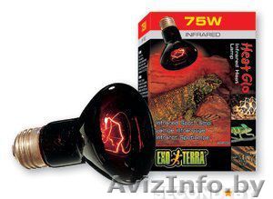 Инфракрасная лампа Heat Glo.Hagen для рептилий (150вт,100вт,75вт)  - Изображение #1, Объявление #1449208