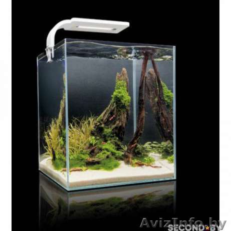 Аквариум Aquael 30 л. Гарантия 2 года - Изображение #1, Объявление #1449213