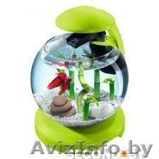 Аквариум Tetra CASCADE GLOBE 6,8 л. с водопадом,фильтром,подсветкой - Изображение #1, Объявление #1449279