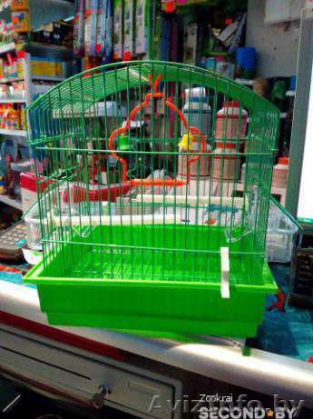 Клетка для птиц с 2 мя кормушками,жердочками,качелями - Изображение #1, Объявление #1449230