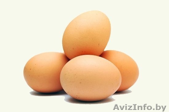 Яйцо куроное закупаем - Изображение #1, Объявление #1464953