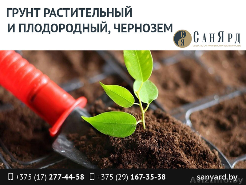 Грунт растительный и плодородный, чернозем. - Изображение #1, Объявление #1464859