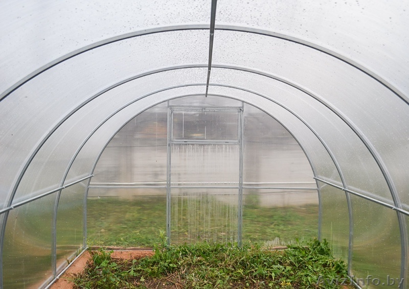 Недорогая теплица из поликарбоната Сибирская - Изображение #1, Объявление #1484443