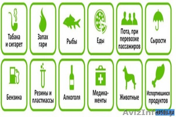 УДАЛЕНИЕ ЗАПАХОВ - Изображение #1, Объявление #1485469