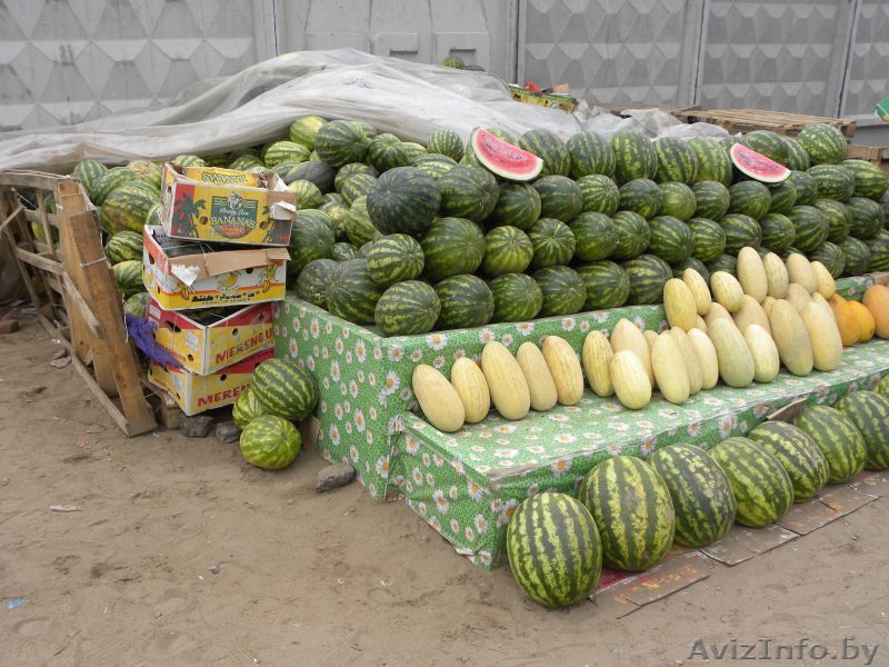 Арбузы оптом - Изображение #1, Объявление #1488840
