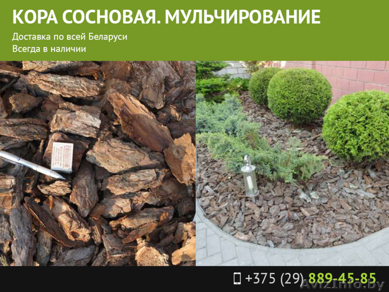 Кора сосновая. Мульчирование. - Изображение #1, Объявление #1491457