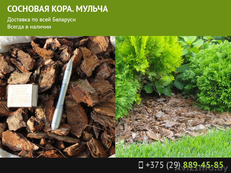 Сосновая кора. Мульча. - Изображение #1, Объявление #1491463
