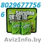 Билайт премиум класса 96капсул 10$ 80296777566 - Изображение #1, Объявление #1487296