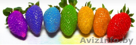 Гуглклубника! Съедобная!  - Изображение #1, Объявление #1484121