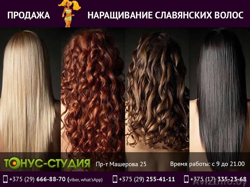 Продажа и Наращивание волос. Тонус-студия. - Изображение #1, Объявление #1495215