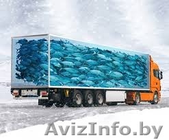 Грузоперевозки рефрижераторами - Изображение #1, Объявление #1510922