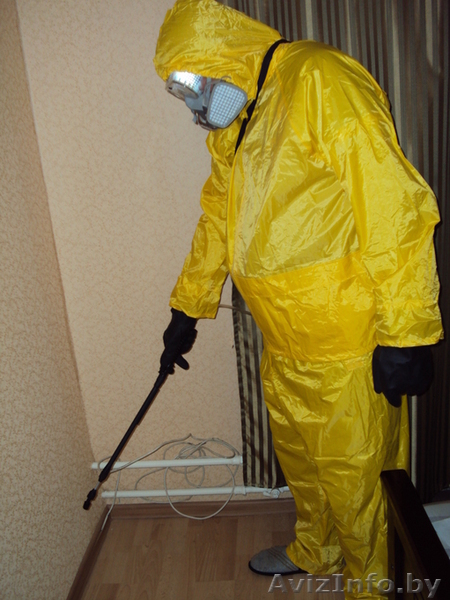 Холодный туман - травля  тараканов, клопов. - Изображение #1, Объявление #1512406