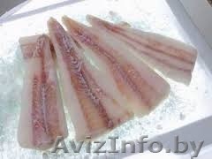 Грузоперевозки рефрижераторами Минск - Изображение #1, Объявление #1516431