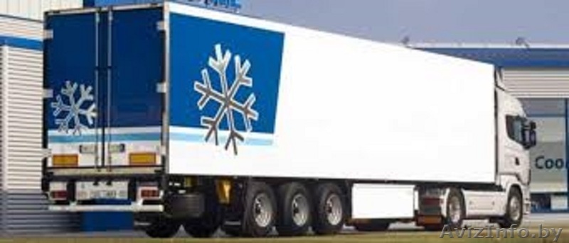 Услуга Грузоперевозки рефрижераторами Минск - Изображение #1, Объявление #1516436