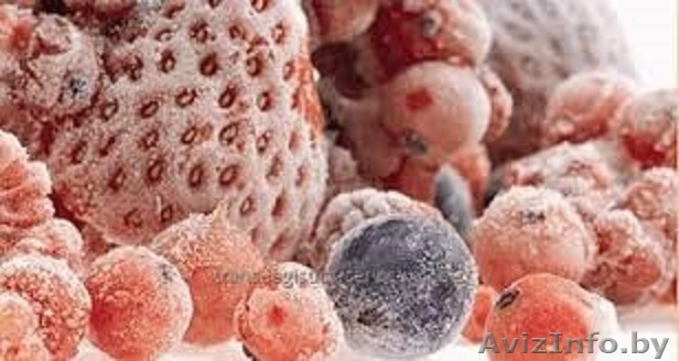 Грузоперевозки рефрижераторами Брест - Изображение #1, Объявление #1516437