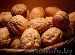 Грецкие орехи - Изображение #1, Объявление #1517454