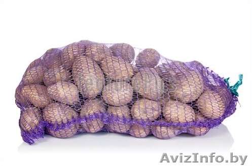 Картофель оптом от производителя в наличии - Изображение #1, Объявление #1514193