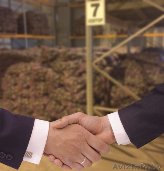 Куплю картофель оптом у Зачетников. Приглашаем к сотрудничеству.  - Изображение #1, Объявление #1524466