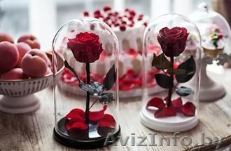 Роза в колбе стабилизированная вечная живая - Изображение #1, Объявление #1540372