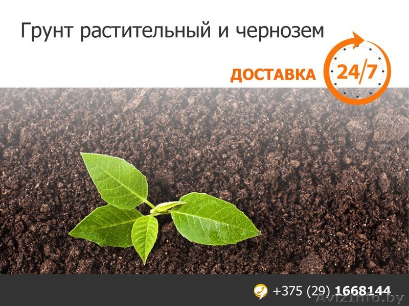 Грунт растительный и чернозем. Низкие цены. - Изображение #1, Объявление #1544641