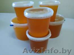 продам мёд - Изображение #1, Объявление #1552484