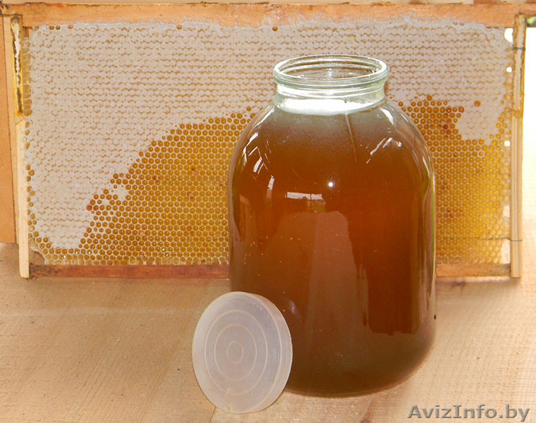мёд- забота о вашем здоровье! - Изображение #1, Объявление #1552488