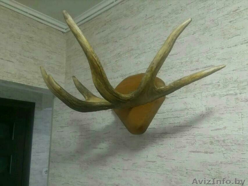 Продам декоративную вешалку из РОГ ЛОСЯ - Изображение #1, Объявление #1554380