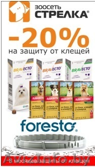 БРАВЕКТО, ФОРЕСТО, АДВАНТИКС И ФРОНТЛАЙН со скидкой от 20% в зоомагазине СТРЕЛКА на Игуменском 45 - Изображение #1, Объявление #1556070