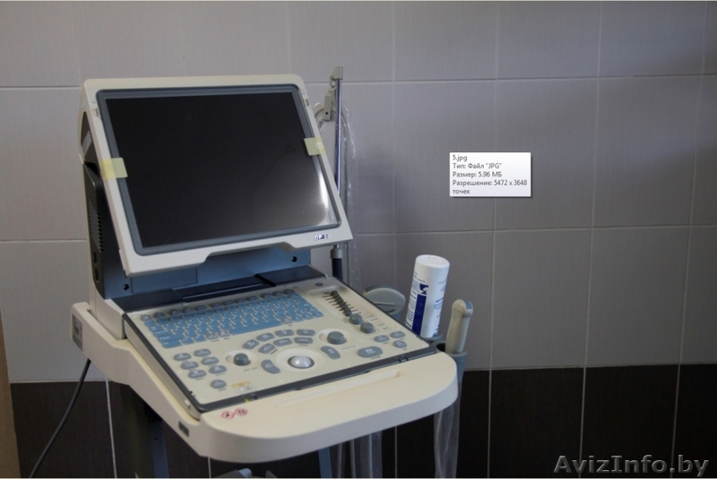 Недорогое и качественное лечение ваших домашних животных в ветеринарной клинике СТРЕЛКА - Изображение #1, Объявление #1556074