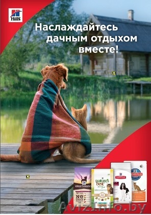 Корм для кошек и собак Хилс со скидкой 20% в зоосети СТРЕЛКА - Изображение #1, Объявление #1556079